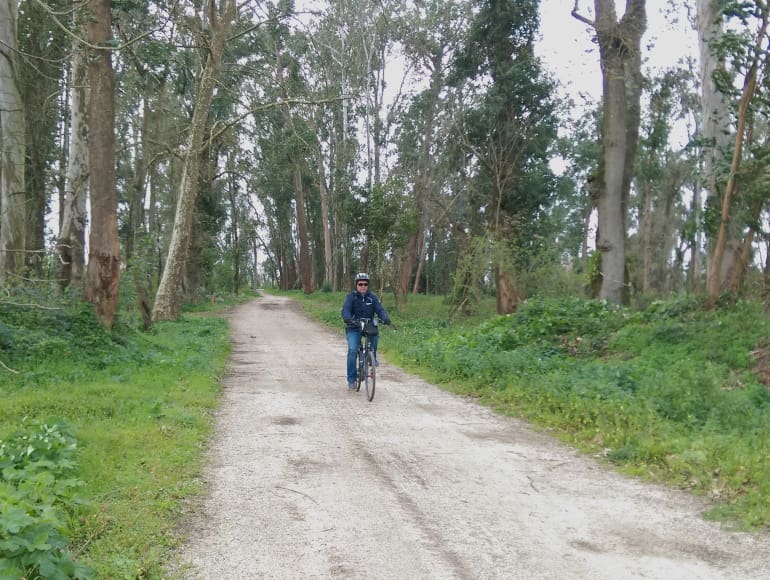 Národní les Coimbra