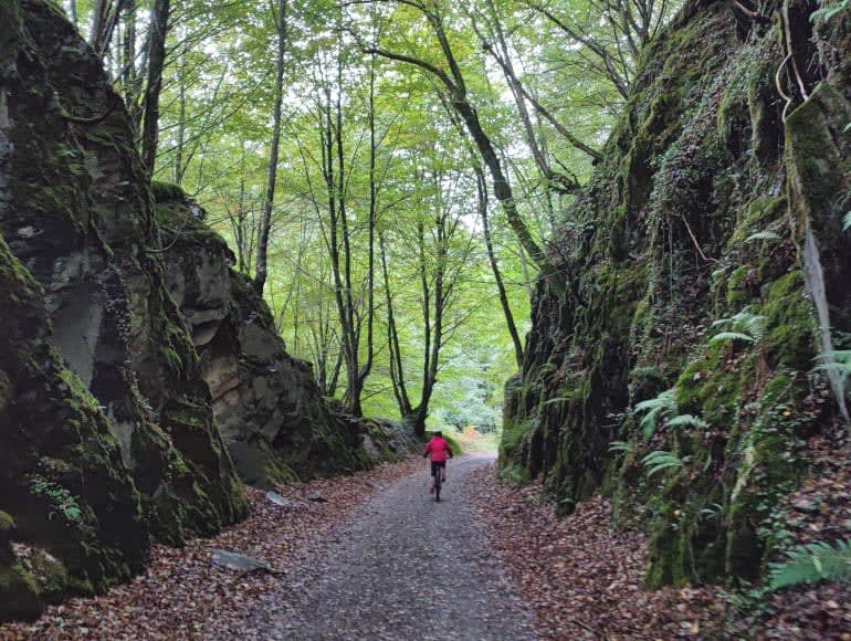 Mit dem Rad durch den Wald| MegaSport Travel