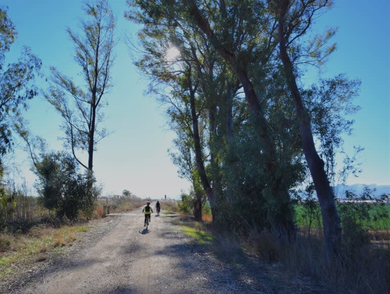 Radwege Elche Valencia | MegaSport Travel