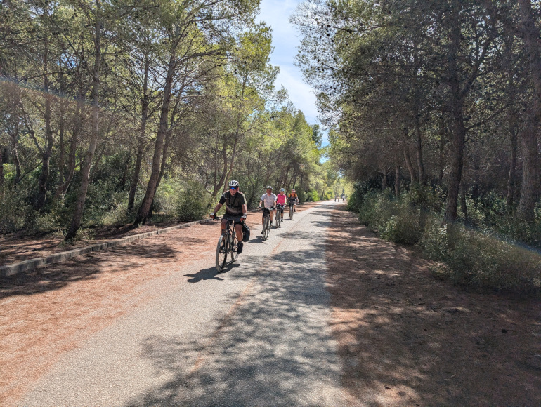 Guidede ture fra Elche til Valencia | MegaSport Travel