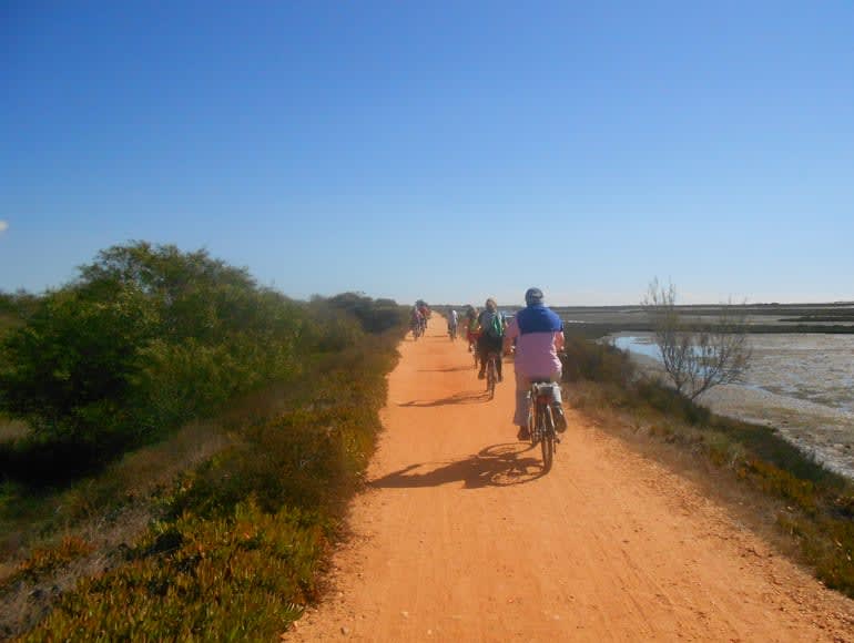 Cycling near Ria formosa: make your holidays in Algarve - Portugal | MegaSport Travel