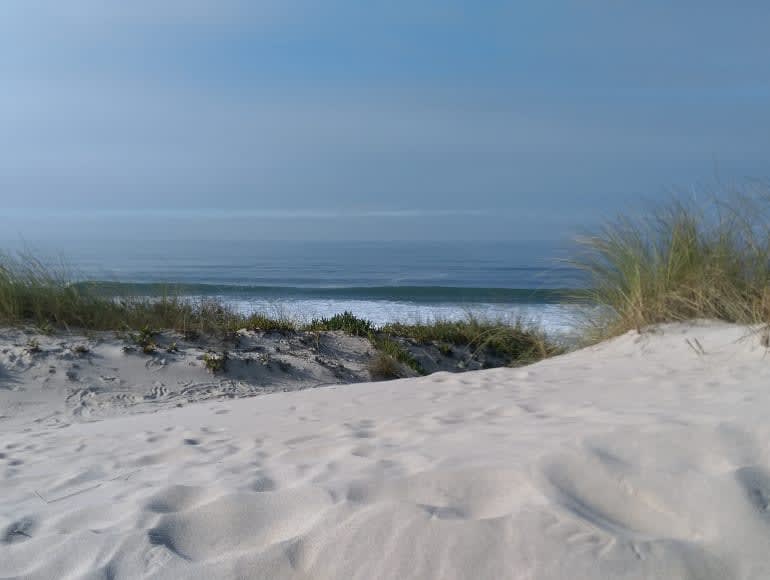atlantic ocean, dunes, discover west coast portugal