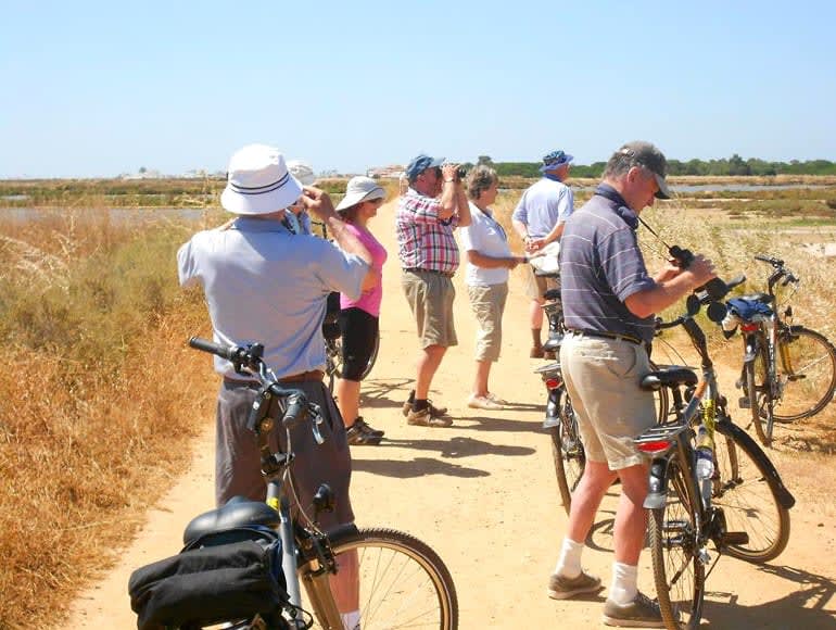 Cycling group in ria formosa