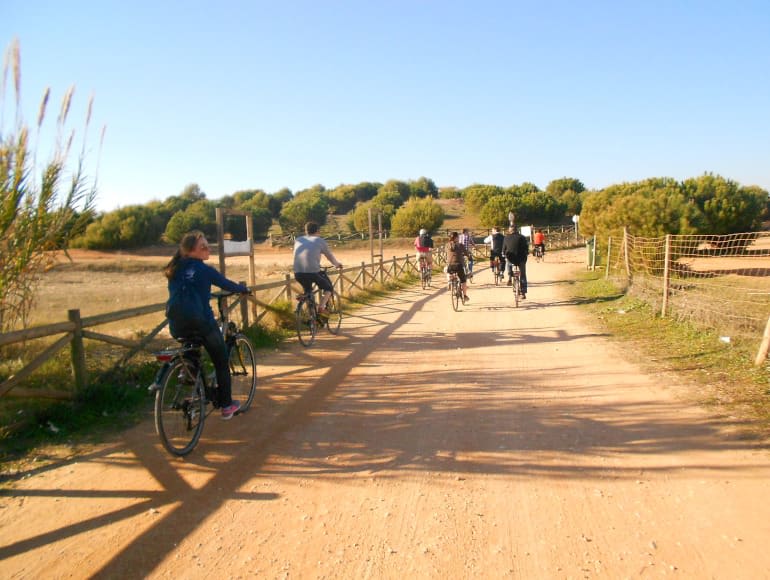 Guided tours, Cycling Vilamoura outskirts