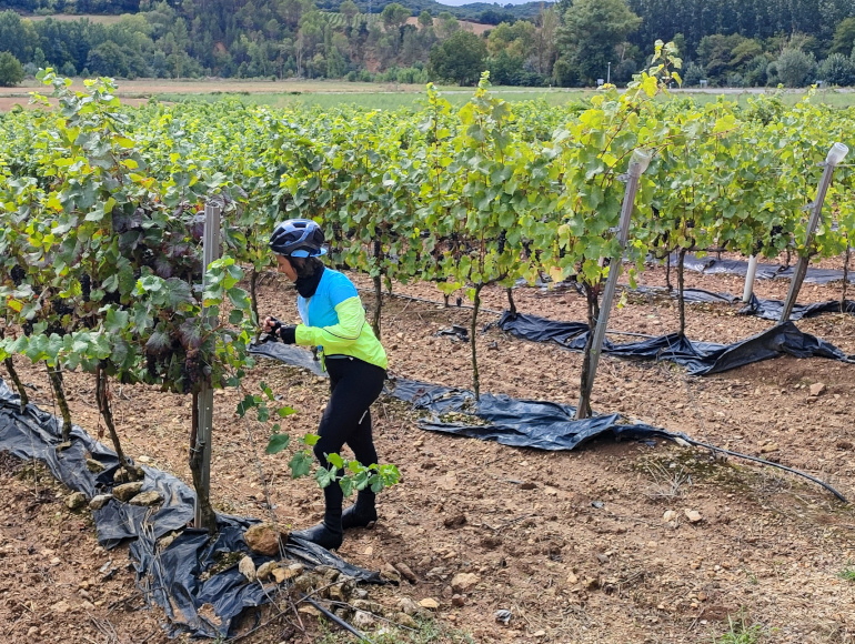 Cycle holidays spain traditions | MegaSport Travel