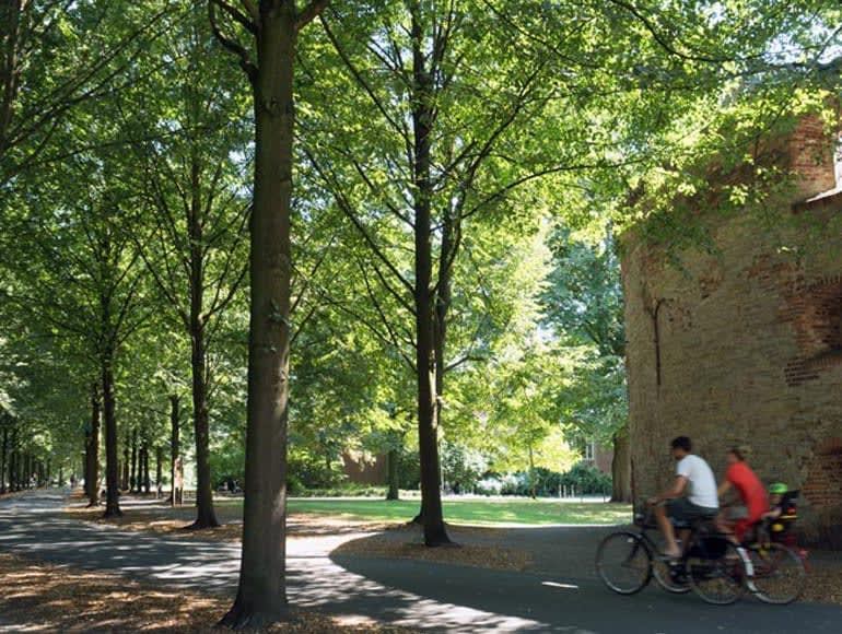 Vacaciones familiares en bicicleta por Münster | MegaSport Travel