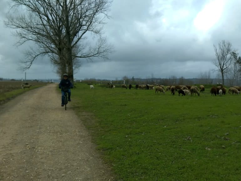 ciclismo por carreteras secundarias