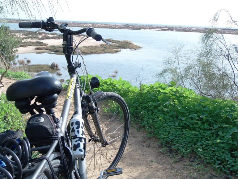 Ciclismo a lo largo del río Gilao | MegaSport Travel