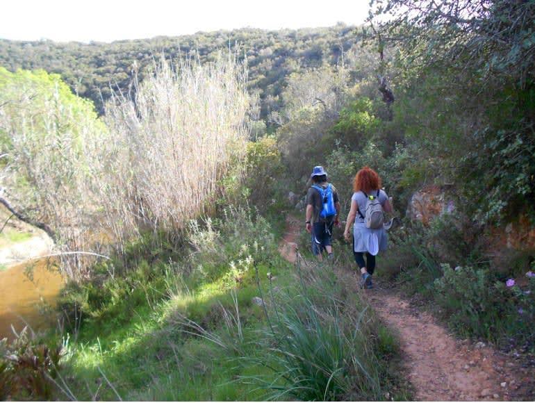 Caminar sobre la naturaleza