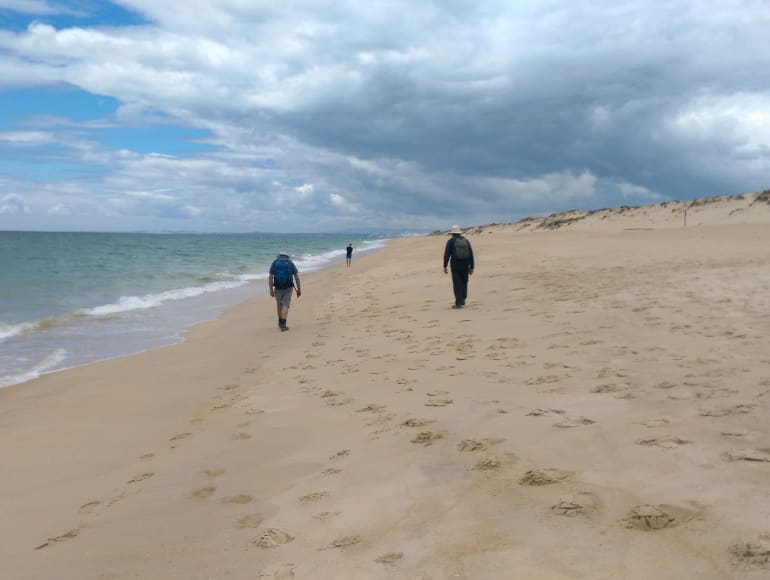 Side walk in ria formosa