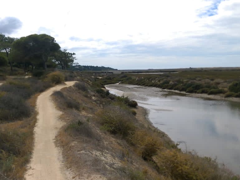 Caminar en Ria formosa junto a un canal de agua