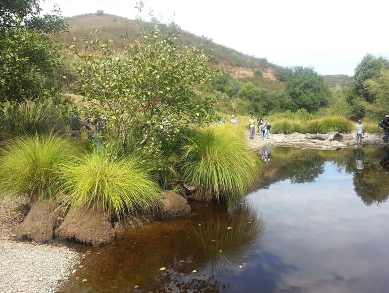 Parada y paisaje de la Serra