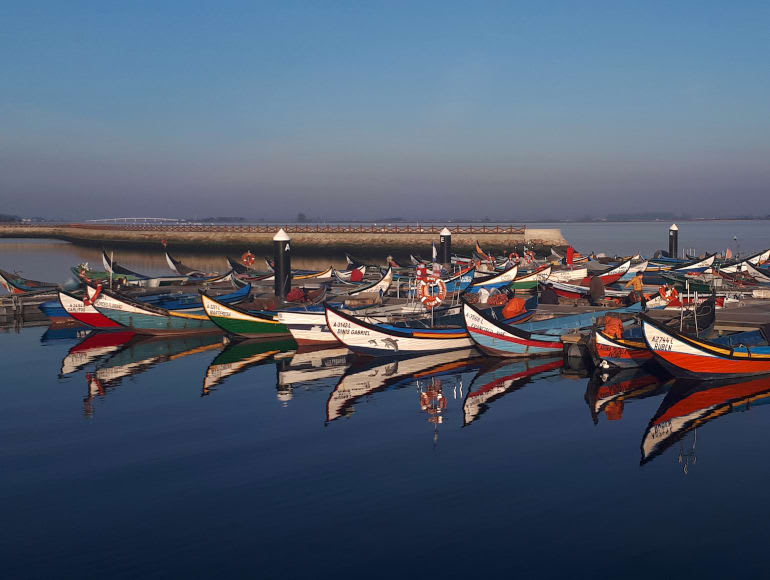 perinteiset veneet, Ria de Aveiro