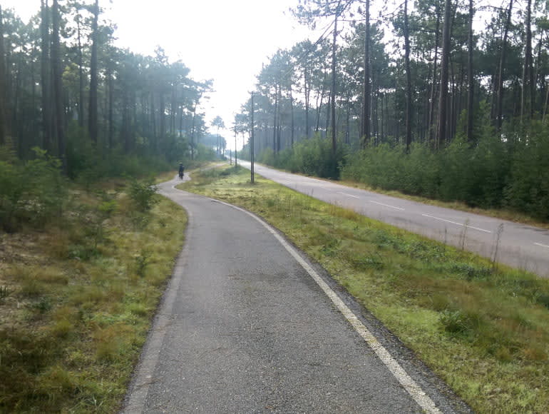 pyörätie metsässä