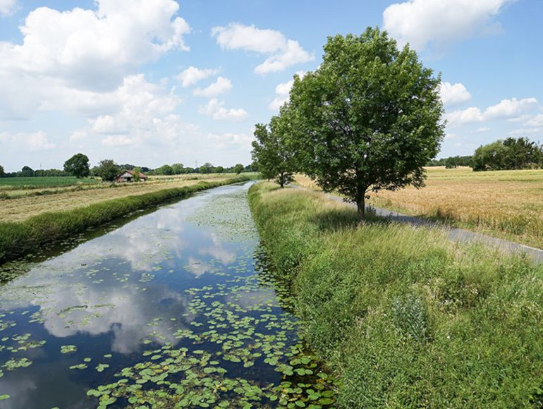 Cyclisme sur la rivière Stever à Muesnter | MegaSport Travel