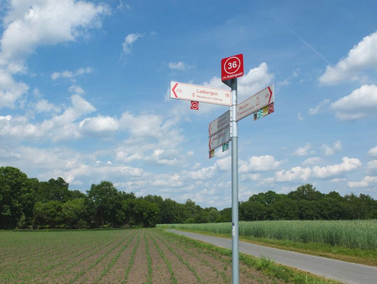 Séjours à vélo sur pistes cyclables | MegaSport Travel