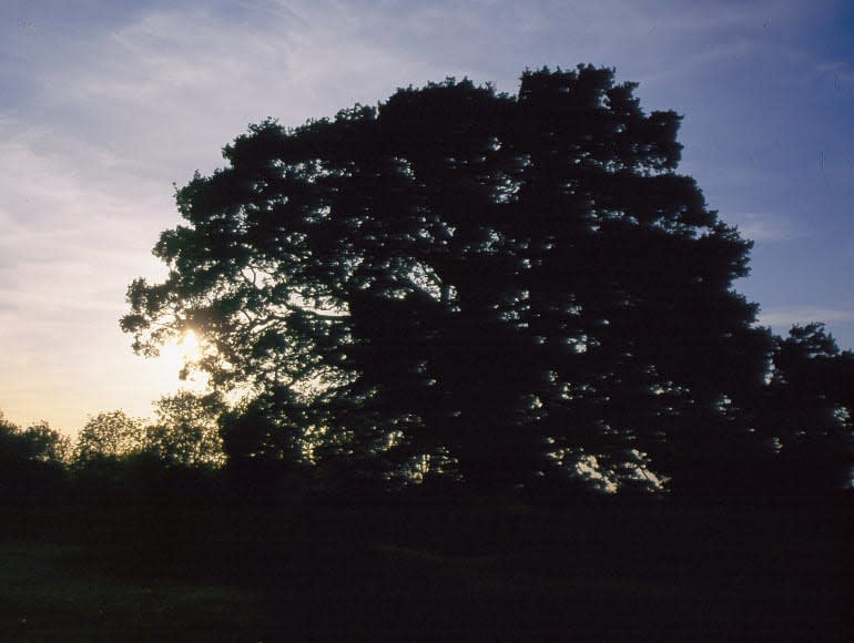 Coucher de soleil | MegaSport Travel