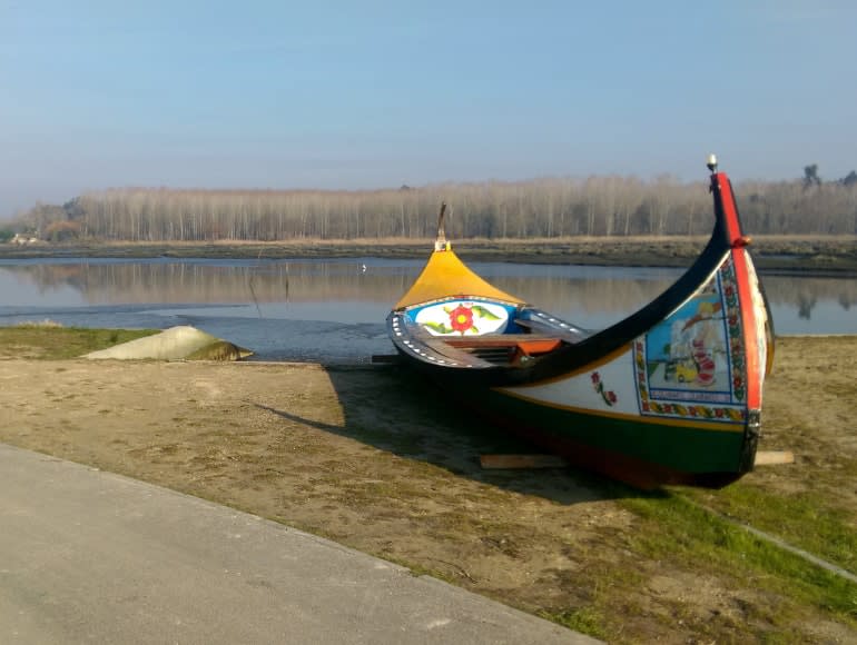 tipiche barche di Aveiro, moliceiros, scopri il Portogallo in bicicletta