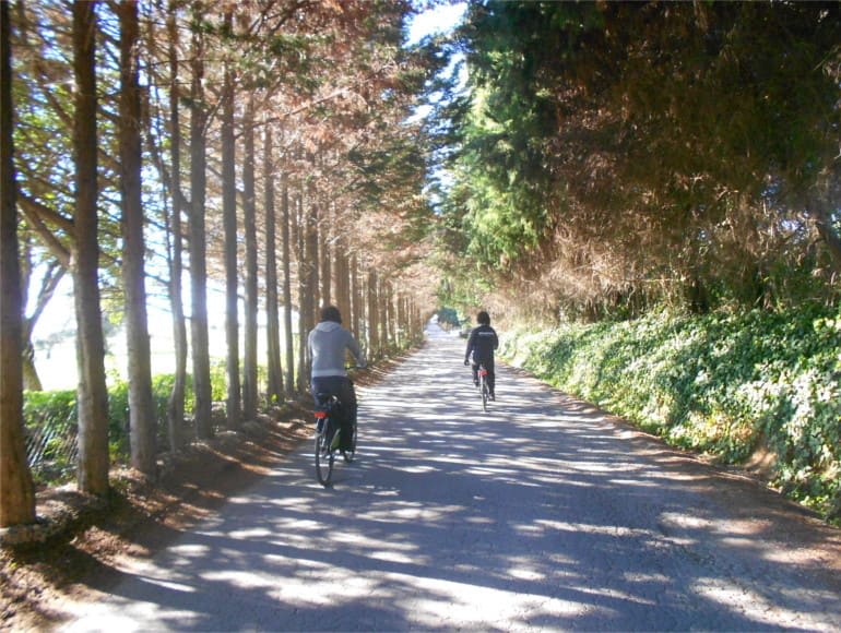Fietsen Cabanas de Tavira, secundaire wegen fietsen, binnenwegen fietsen