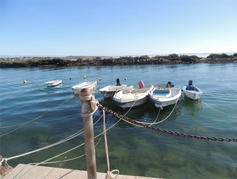 Fuseta boten, rivier, vistradities fietsen