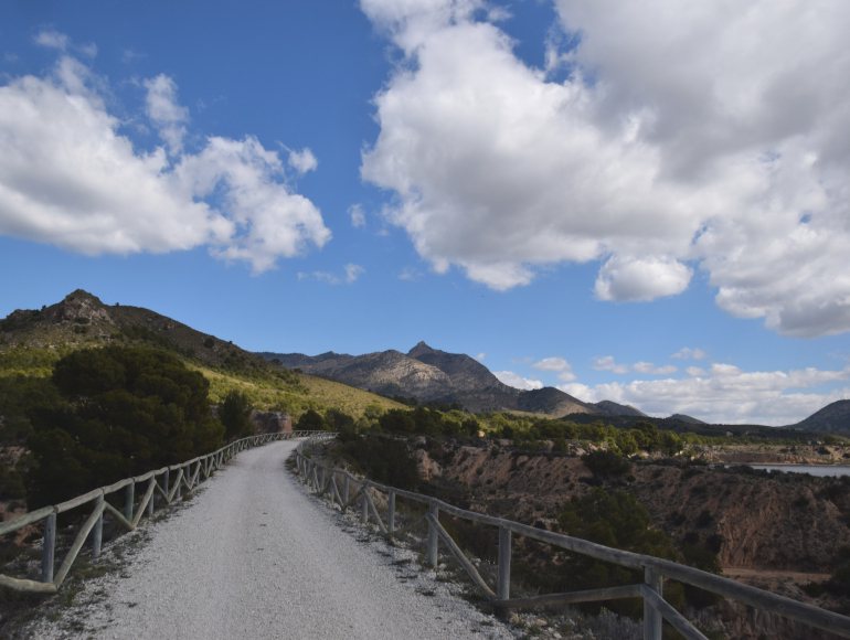 Fietstochten over groene routes | MegaSport Travel