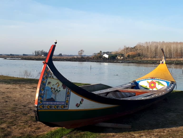 Portugalia Tradycje, kolarstwo Aveiro