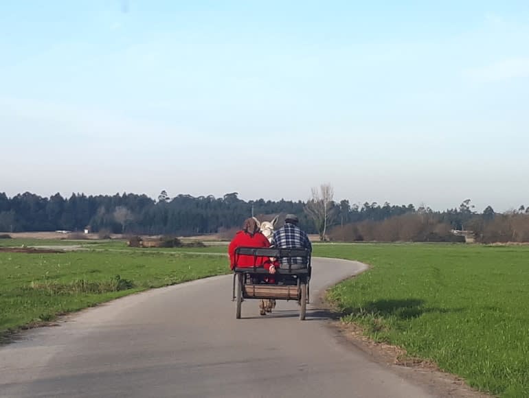 jazda rowerem po bocznych drogach