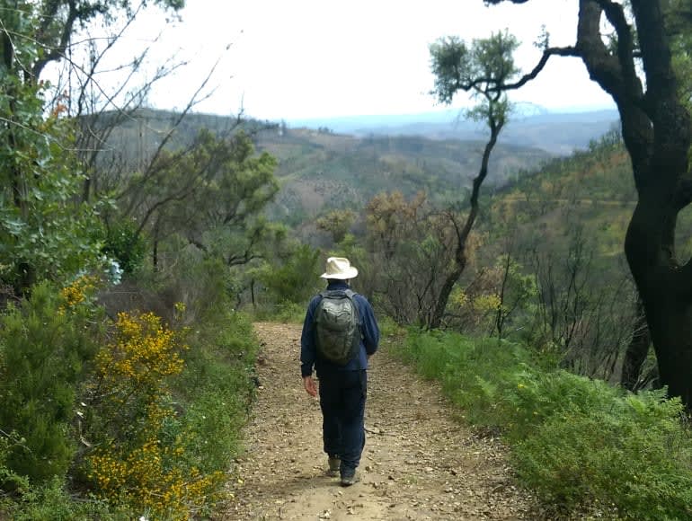 Caminhar na natureza
