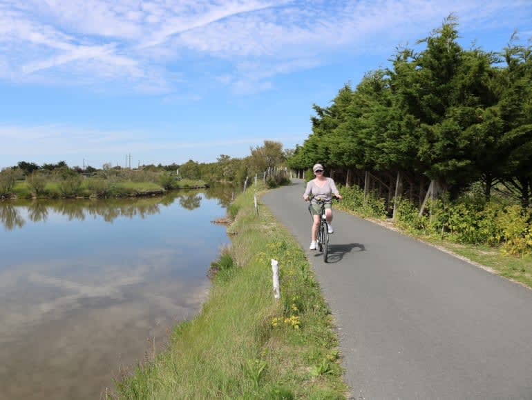 Cykla i naturen intill en flod | MegaSport Travel