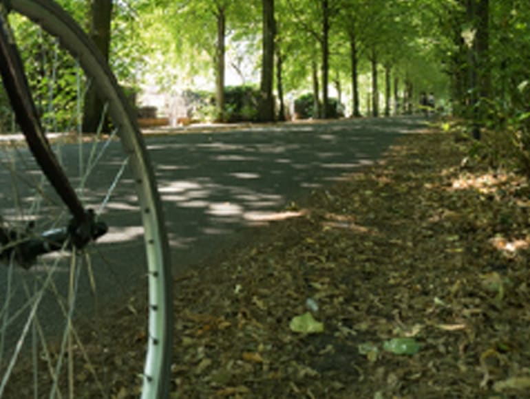 Cykling i parker
